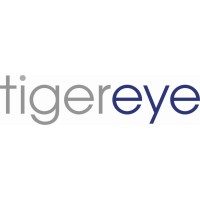 Tiger Eye logo - Similar company to Ascertus Limited