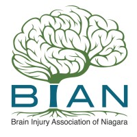 Brain Injury Association of Niagara (BIAN) logo - Similar company to Invisible-Care Inc