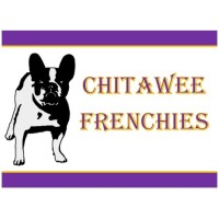 Chitawee Frenchies logo - Similar company to Studio K