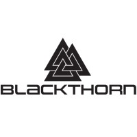Blackthorn Consulting Inc. logo - Similar company to Blackthorn Creative