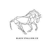 Black Stallion Consulting logo - Similar company to Black Stallion Trading