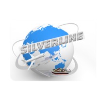 Silverline Clearing & Forwarding Agency logo - Similar company to Swami Samarth Enterprises