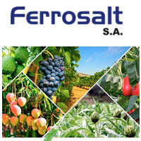 Ferrosalt logo - Similar company to America Sis S.R.L.