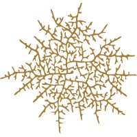 Hyphae Design Laboratory logo - Similar company to Mapsolve Ai