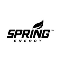Spring Sports Nutrition, Inc. logo - Similar company to Atg Sports Nutrition