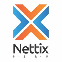 Nettix Perú logo - Similar company to Padisa Technology