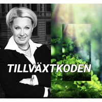 TILLVÄXTKODEN®️ logo - Similar company to Time Traveller