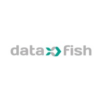 Datafish Technology Solutions S.L. logo - Similar company to Investigacion Planificacion Y Desarrollo Sa