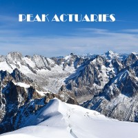 PEAK Actuaries and Consultants ltd logo - Similar company to Prudential Actuaries Ltd