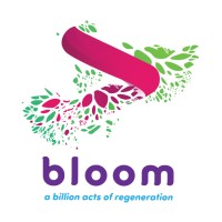 Bloom Network