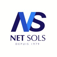 NET-SOLS logo - Similar company to Inclusol Ts