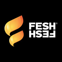 FESH FESH Group v.o.s. logo - Similar company to Pg Systemtechnik Gmbh & Co. Kg