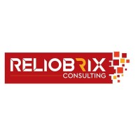 Reliobrix Consulting Pvt. Ltd. logo - Similar company to Prithvee India
