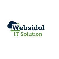 Websidol IT Solution logo - Similar company to Capiora