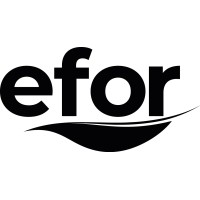 Efor Çay logo - Similar company to Efor Holding