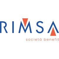 Rimsa - Brightening Ideas logo - Similar company to Opt Surgisystems