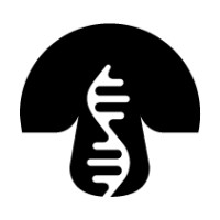 Magic Mogu logo - Similar company to Pace Johnson Law Group