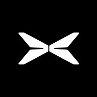 XPENG Sverige logo - Similar company to Xpeng Danmark