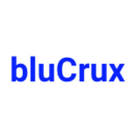 bluCrux logo - Similar company to Bluecrux