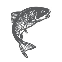 Mere Trout