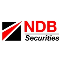 NDB Securities (Pvt) Limited logo - Similar company to Ndb Wealth Management Limited