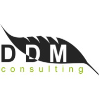 DDM Consulting logo - Similar company to Bluon Technology B.V.