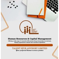 Talent Spur Advisory Limited logo - Similar company to Iratersng