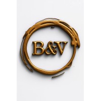 B&V Solutions logo - Similar company to Bnv