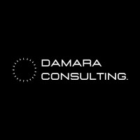 Damara Consulting logo - Similar company to Pensical 2023