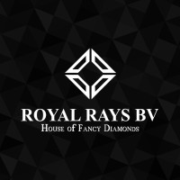 Royalraysbv logo - Similar company to Over And All Tech