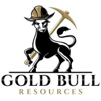 Gold Bull Resources logo - Similar company to Nv Resources