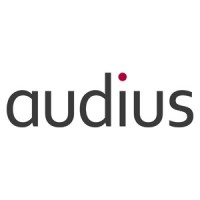 audius logo - Similar company to Infopoint Security