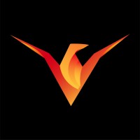 Volador FlyTech logo - Similar company to Vmii Ltd