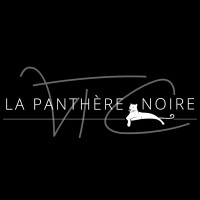 VTC - La panthère noire logo - Similar company to Vtc And Go