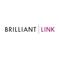 Brilliant Link logo - Similar company to Tmp Consulting Solutions