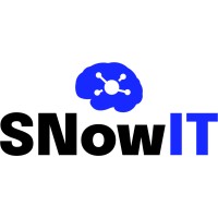 SNowIT logo - Similar company to Solutionnow