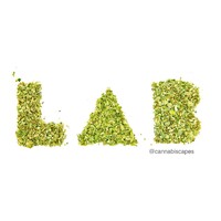 Cannabis LAB - Association of Cannabis Industry Professionals logo - Similar company to Greenstate
