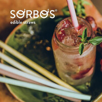 SORBOS BRASIL logo - Similar company to Sorbos Chile