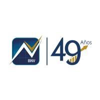Grupo Financiero Bolsa Nacional de Valores de Costa Rica logo - Similar company to Konectiva