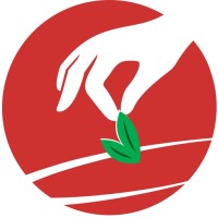 iSalvo logo - Similar company to Apizza