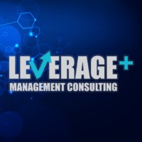 Leverage+ Management Consulting logo - Similar company to Leverage