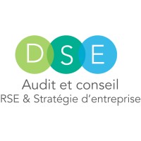 DSE25 logo - Similar company to Ebilyse
