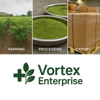 VORTEX ENTERPRISE logo - Similar company to Beone
