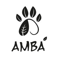 AMBÁ logo - Similar company to June19Th