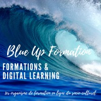 Blue Up Formation logo - Similar company to Blueup