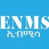 ENMS-Ethiopia National Media Support logo - Similar company to Aeneam