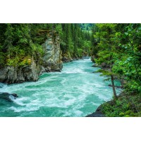 Jiamu Chenglin logo - Similar company to Somaxflex Industrial Hoses