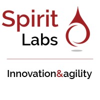Spirit Labs Limited logo - Similar company to Soft-Ex, A Widepoint Company
