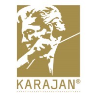 Herbert von Karajan Foundation logo - Similar company to The Mindshift