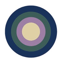 VANQUOUR logo - Similar company to Global Access Csg